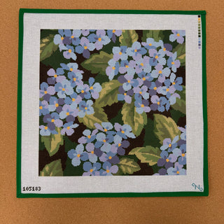 Graceful Hydrangeas