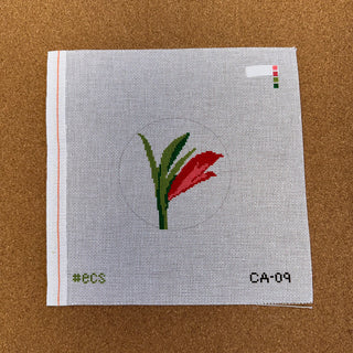 CA-09 AMARYLLIS