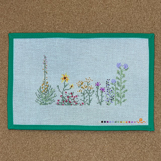 Kansas Wildflowers