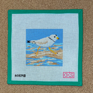 Piping Plover Coaster