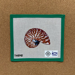 Mini Nautilus Terra Cotta