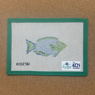 Blue and Green Parrotfish