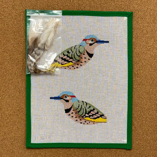 Northern Flicker