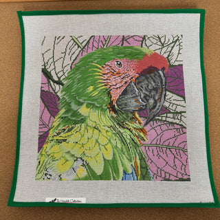 Parrot Buffon or Great Green Macaw
