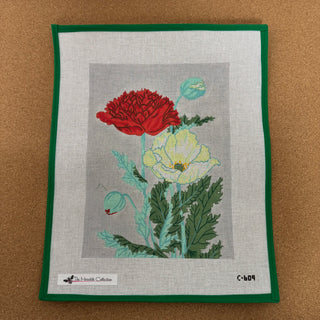 Red and White Poppy