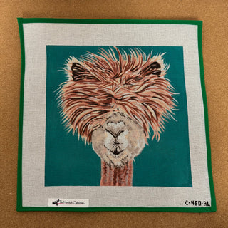 Alpaca