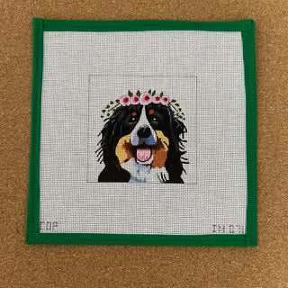 Bernese Mountain dog with flower crown