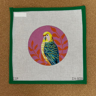 Parakeet