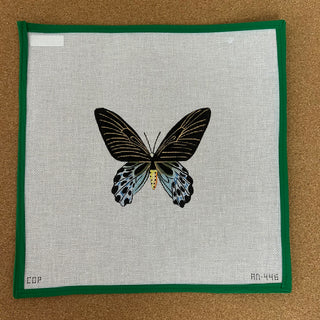 Black and Blue Butterfly
