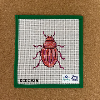 Pink Beetle