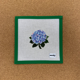 Hydrangea