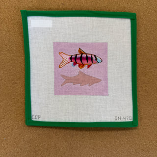 Fish Coaster 1