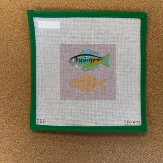 Fish Coaster 2