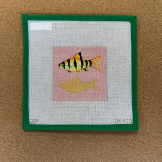 Fish Coaster 3
