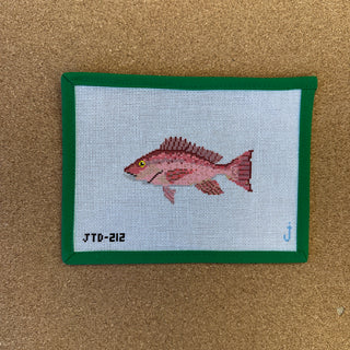 Snapper