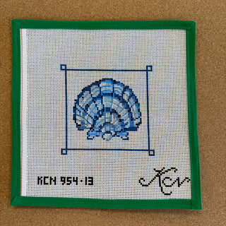 Blue Banded Scallop Shell