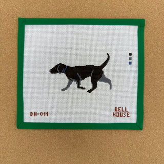 Black Lab