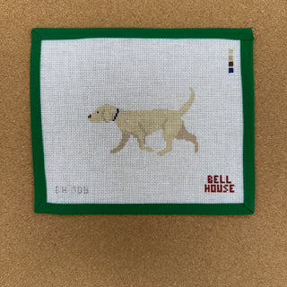 Yellow Lab