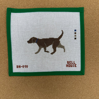 Chocolate Lab