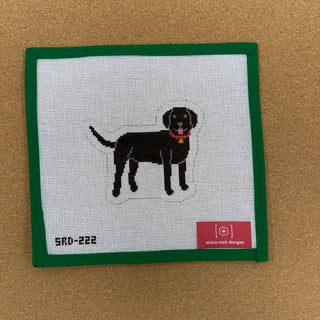 Black Labrador