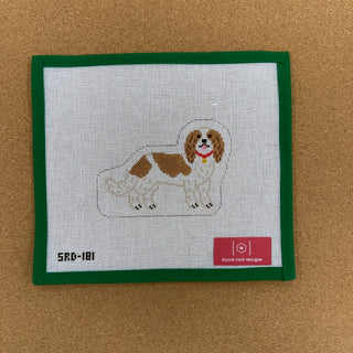 King Charles Cavalier
