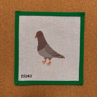 NYC Pigeon