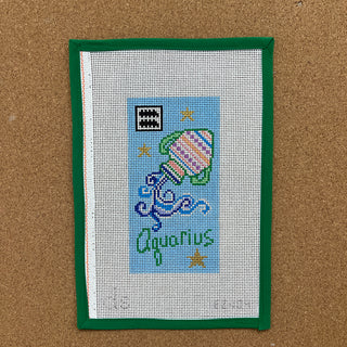 Aquarius Sunglass Case