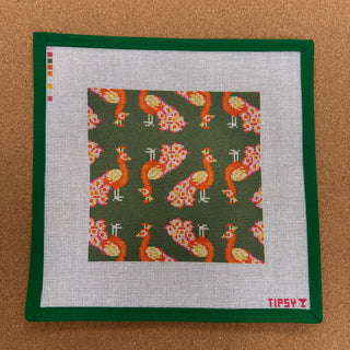 Orange Peacock Square