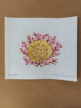 PL-280 Moon Snail Shell w/ Coral