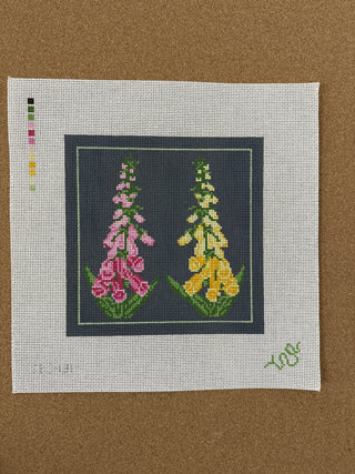 SBS131 Foxglove