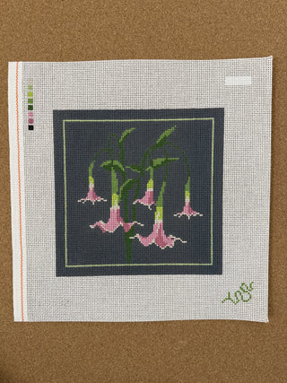 SBS132 Angel's Trumpet