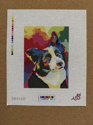 SBS165 CL Border Collie