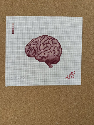 SBS22 Anatomical Brain