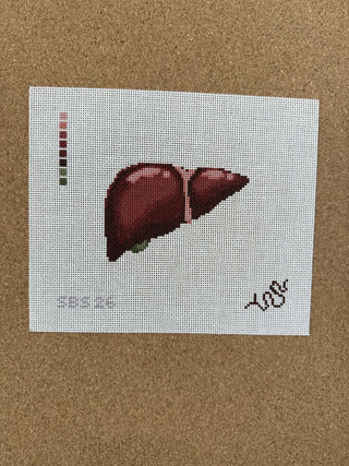 SBS26 Anatomical Liver